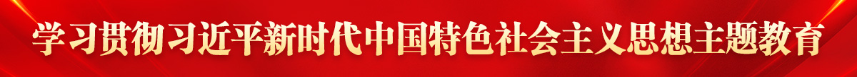 學習貫徹習近平新時代中國特色社會主義思想主題教育